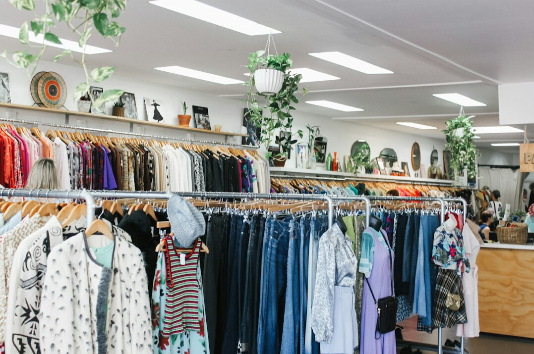 fashion store shoplifter